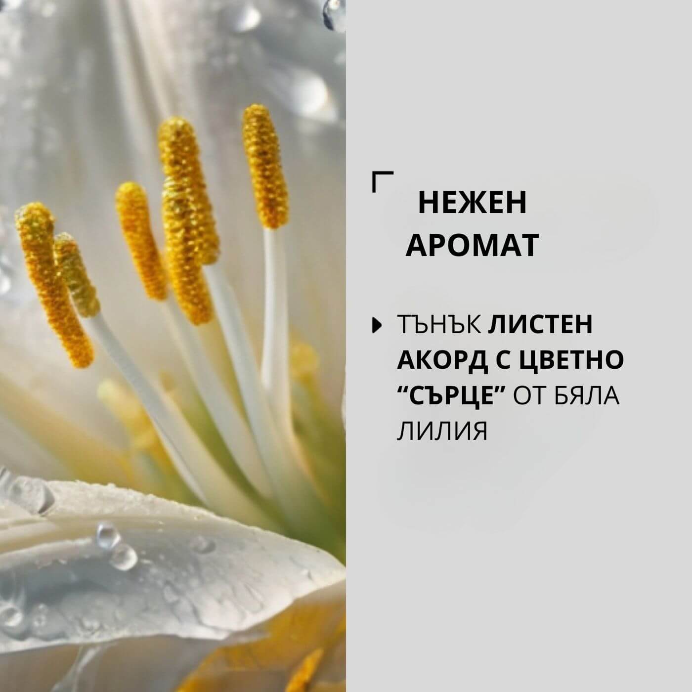tiande (1081 x 1081 пиксела) (27)